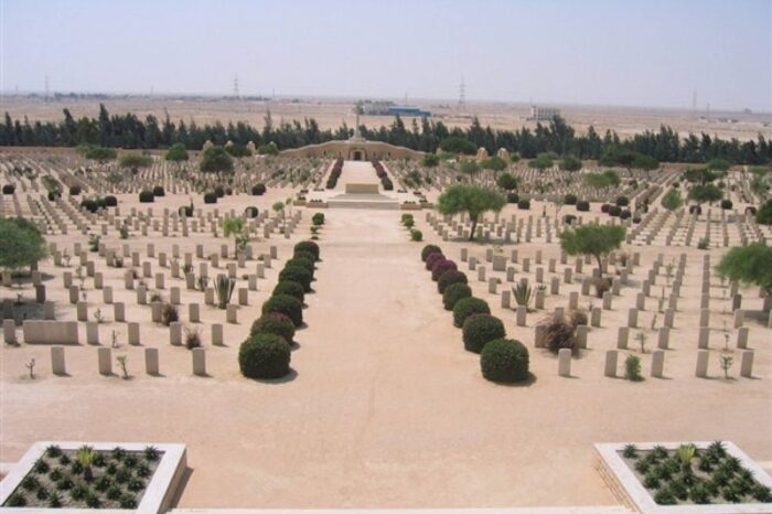 Alexandria Day tours