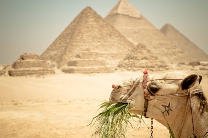 Cairo Day tours