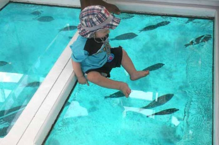 Glass bottom boat