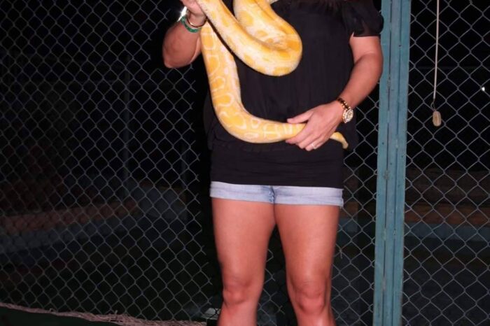 Enjoy Snake And Crocodile Shows