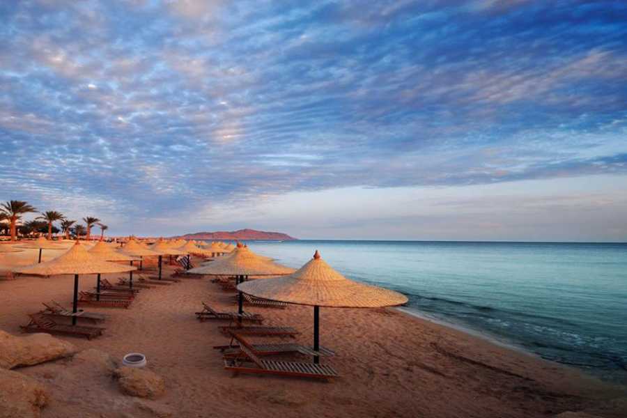 3Pyramids Egypt Tours