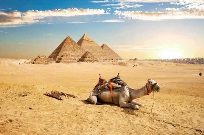 Cairo Day tours