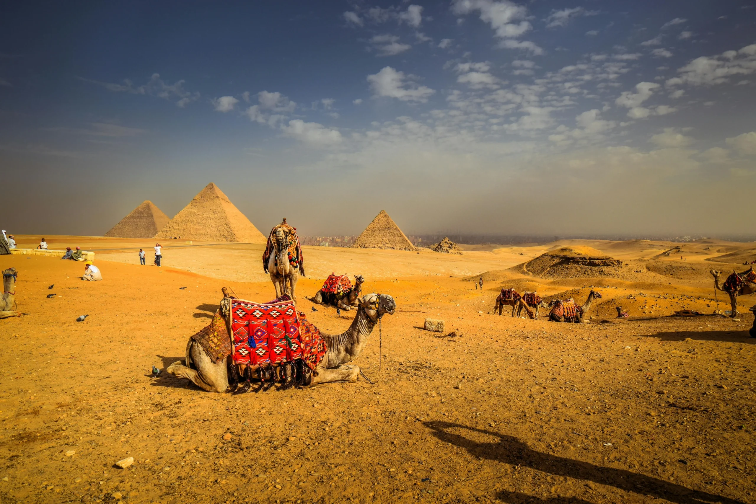 Giza Tours