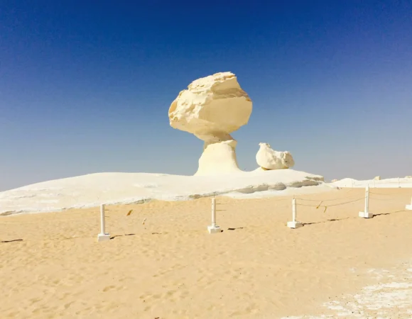 Bahariya Oasis White & Black Desert Tour