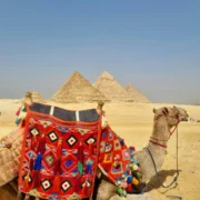 Three Pyramids Tours Egypt