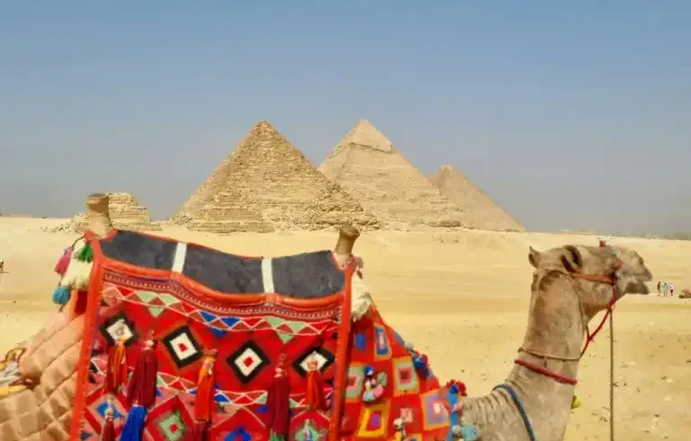 Pyramid Desert Trip by Horse or Camel