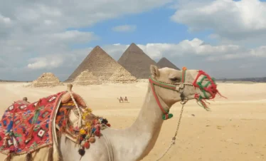 Pyramid Desert Trip by Horse or Camel
