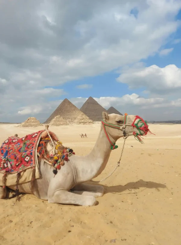 Pyramid Desert Trip by Horse or Camel
